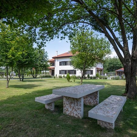 Pensiunea Negoiu Порумбаку де Сус Екстериор снимка